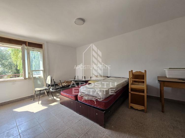 Casa de vanzare, potential pensiune, pe malul Timisului,Sag,comision 0 - 11