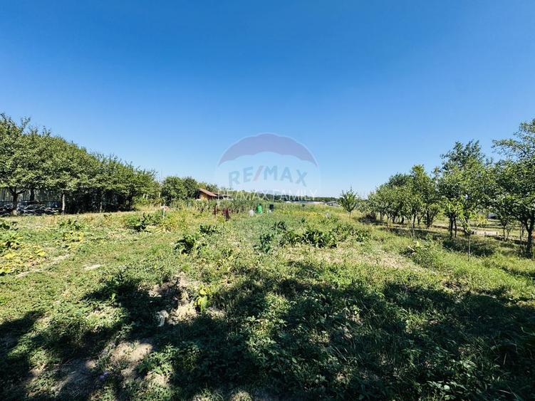 Teren 6,210mp Apateu / Strada Principala - 16