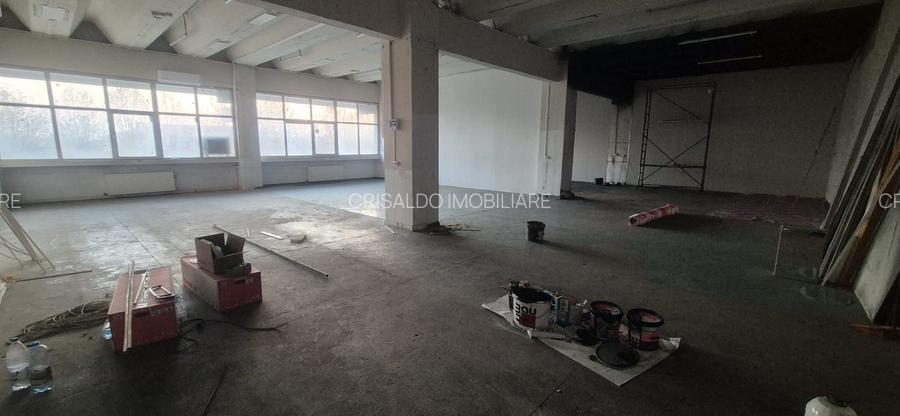 Spatiu Theodor Pallady - 9