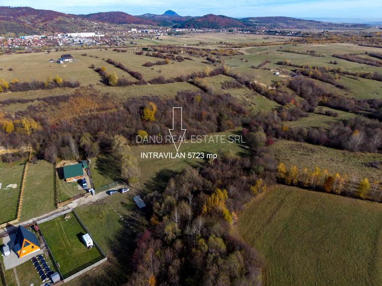 Teren intravilan 5723mp Zarnesti Tohanita- case de vacanta,investitie in turism - 14