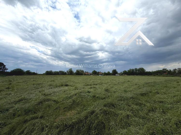 Teren intravilan de vânzare – 9.375 mp | Zona Cernele – Craiova - 4