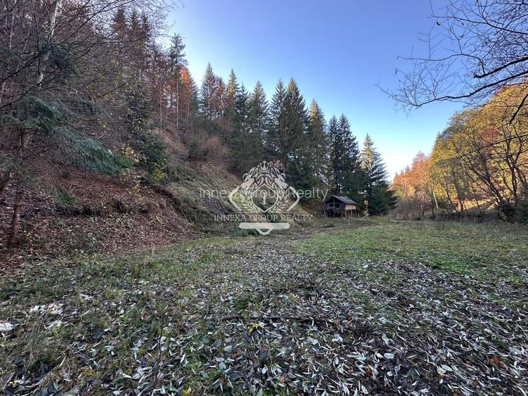 Teren 2.882 mp – oportunitate investitie - Cheile Dâmbovicioarei - 3