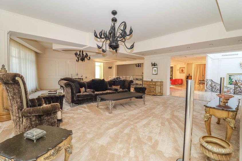 Vila de vanzare 11 camere zona Tei 1450 mp - 20