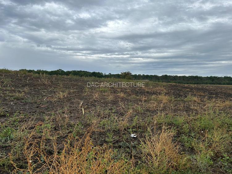 MOARA VLASIEI TEREN INTRAVILAN LA LAC SI PADURE - 5