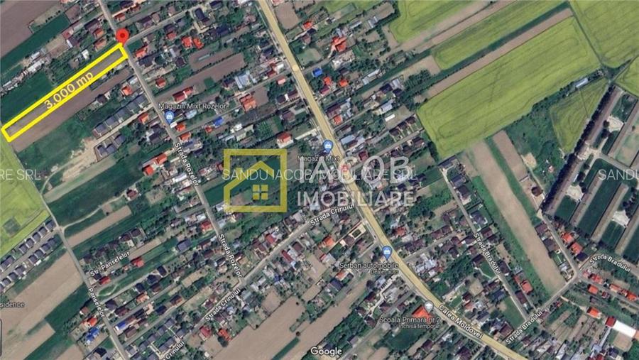 Teren intravilan Lilieci, Hemeius, Bacau - 5