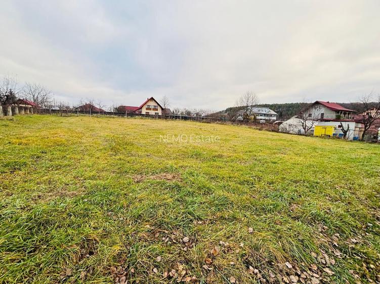Teren intravilan 1227 mp I Scheia I Suceava - 5
