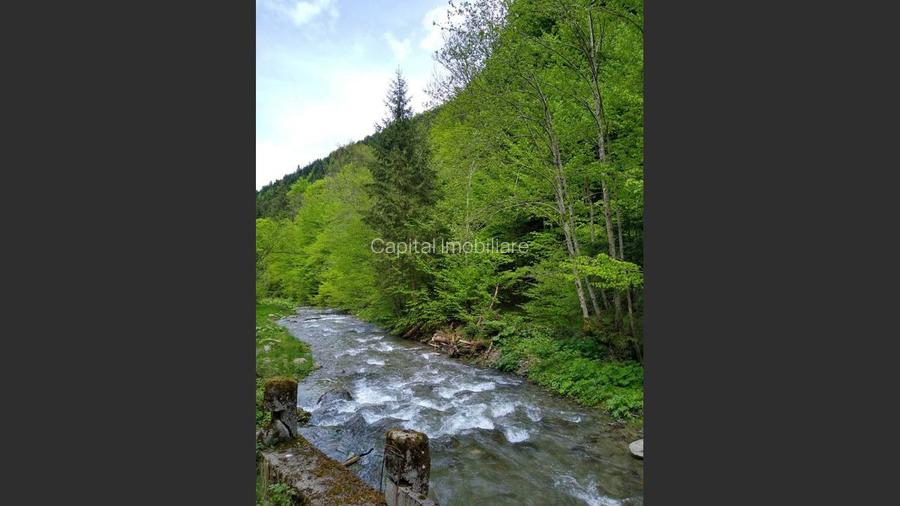 House for sale, 5 Rooms, 180 sqm, Valea Dejani - 7