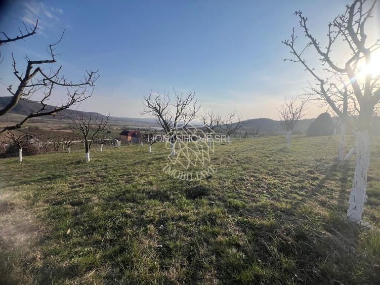 Teren 3100 mp-livada-ideal casa-Mititei - 6