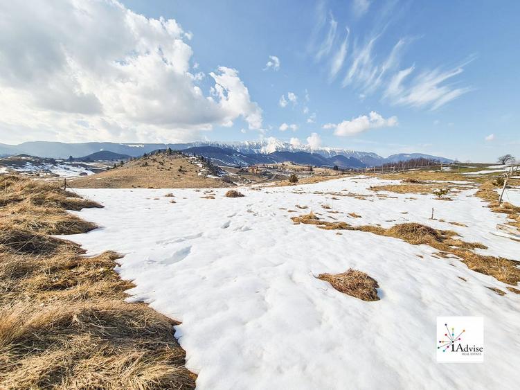 Teren De Vanzare In Sirnea - 3