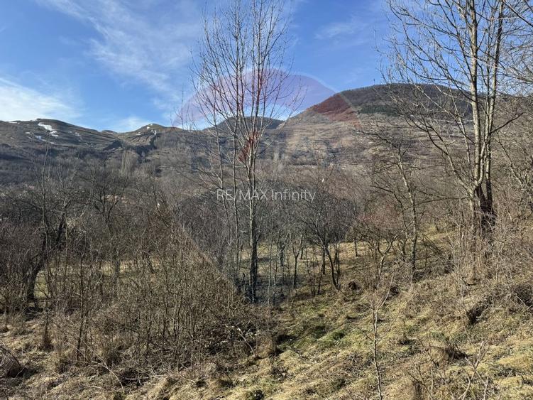 Casă din piatră la poalele Bedeleului – Izvoarele, Alba - 16