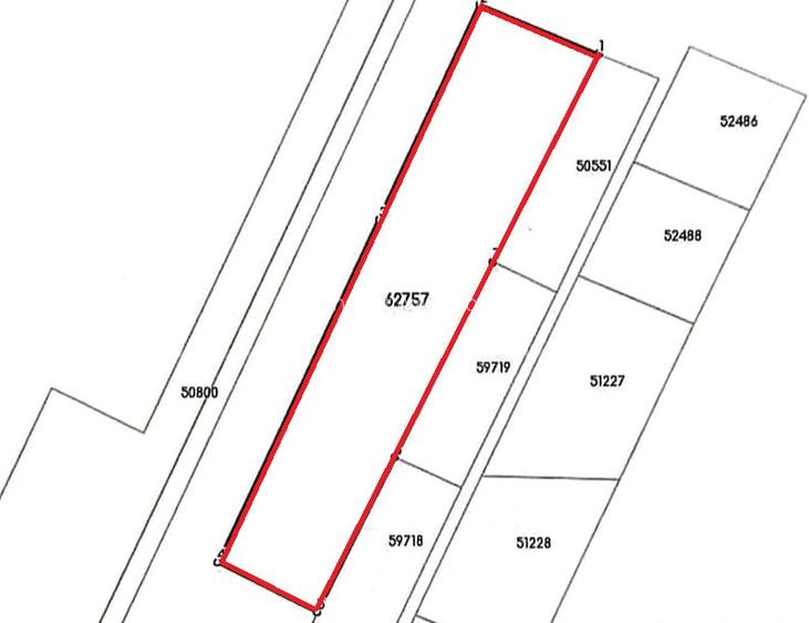 Teren Izvorani -Padure -COR - 5