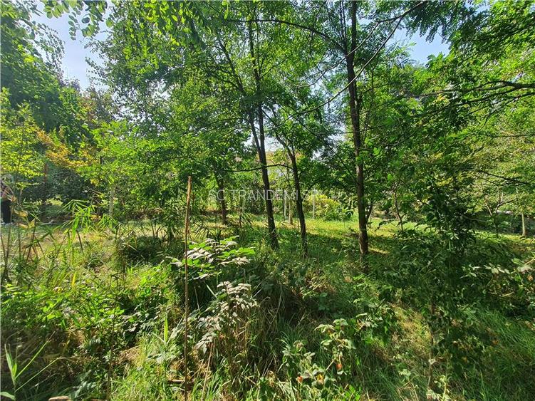 Teren intravilan Sacel -zona lacuri -ultimul lot de 900mp - 14