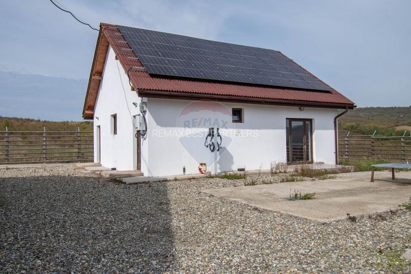 Ferma moderna de porci de vanzare in Curtuiusu Dejului - 19