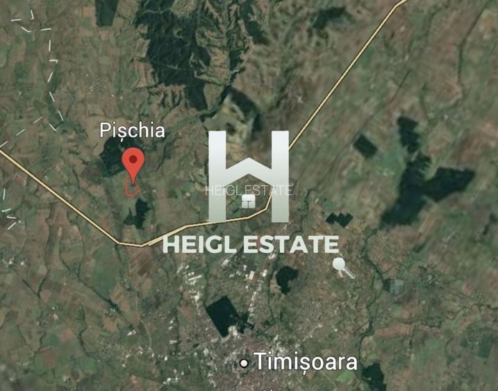 Teren intravilan in Pischia - 3