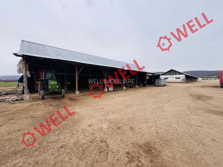 Ferma complet echipată de 22 de hectare de vânzare în Zoltan! - 12