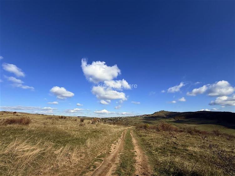 Comision 0% Oportunitate investitie teren extravilan  Salicea - 7