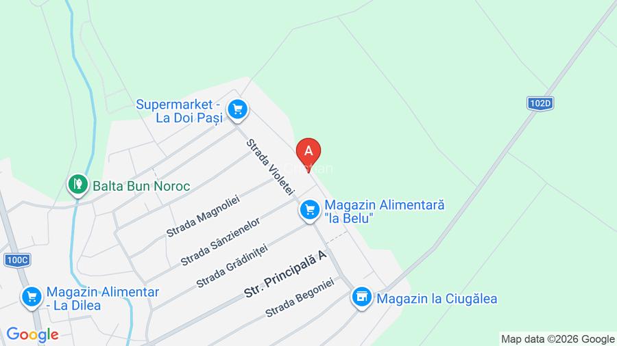 Teren intravilan + extravilan - 6