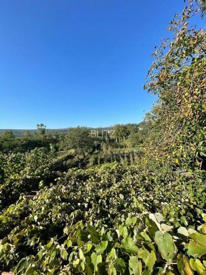 Casa individuala + anexa si gospodarie , 247 mp , 3 nivele, 1669 gradina, Gilau  - 15