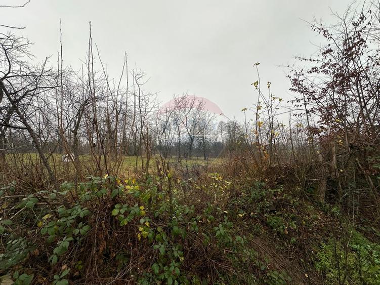 DE VANZARE - Teren strada Miron Costin - 3