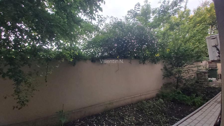 Padurea Baneasa Aleea Teisani Sector 1 - 14