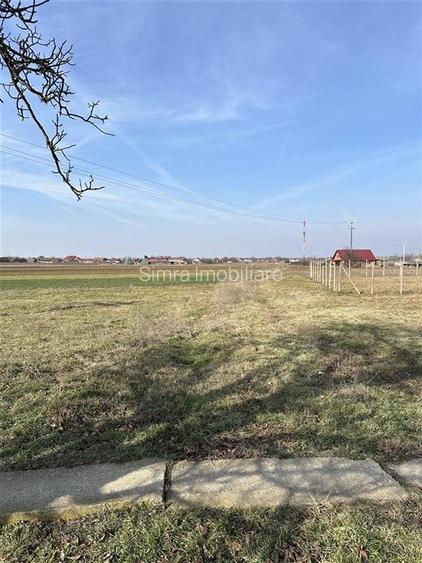 Teren intravilan Girisu De Cris - 4