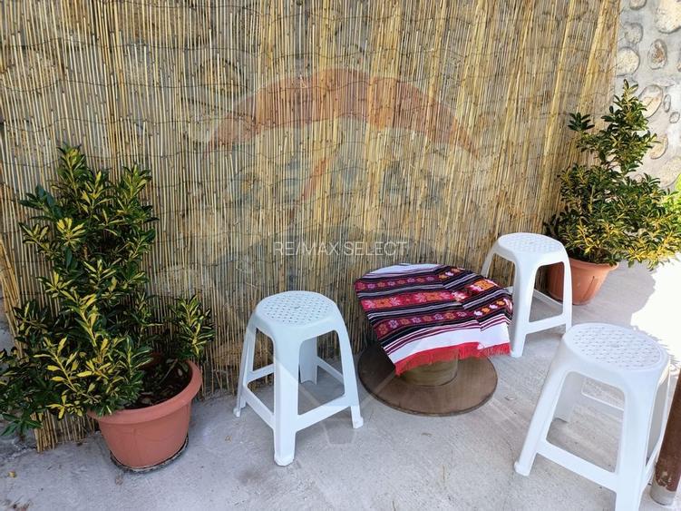 Vânzare casa la munte - zona turistica - Baia de Fier - 11