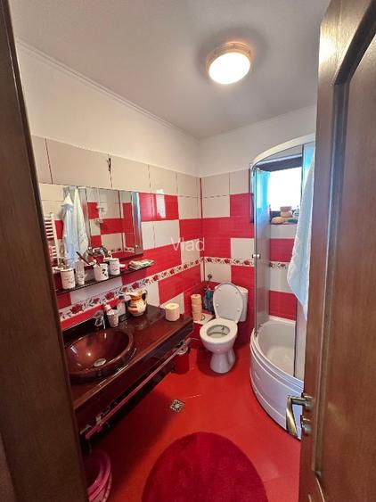 Vanzare vila superbă, P+1+Pod, Albota - 16