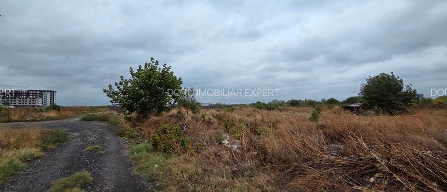 Berceni- zona Persu,Postalionului -Dealu Corbului, capat STB 241! - 5