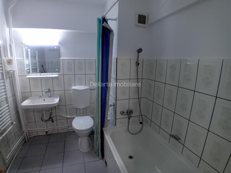 Apartament de inchiriat cu o camera 47 mp Calea Romanului - 9