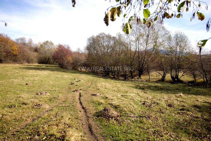 Teren intravilan 2500mp Tohanita Zarnesti- ideal casa de vacanta - 12
