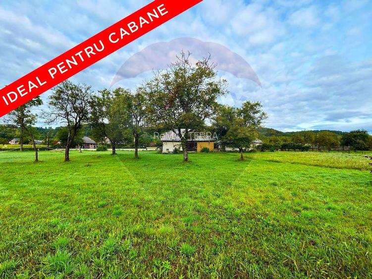 Teren de vânzare in Fauresti - 6