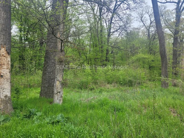 SUPER  OCAZIE TEREN 4000MP DE VANZARE IN SNAGOV CU DESCHIDERE LA LACUL SNAGOV - 16