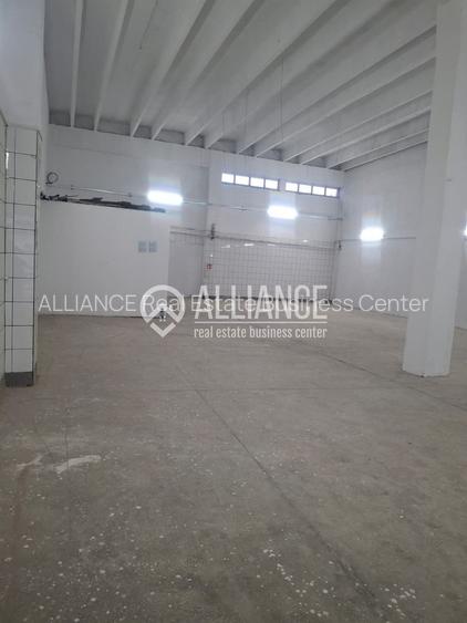 ZONA INDUSTRIALA (COD04)-Hala 270 mp ideal service auto - 3