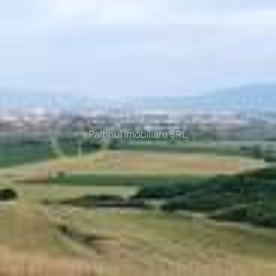 Teren de vânzare – Poplaca, Sibiu - 11
