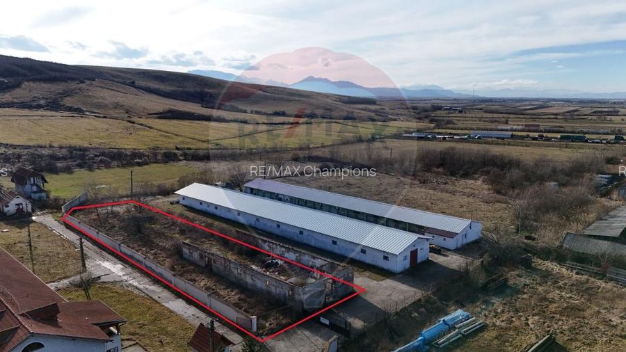 Teren intravilan 1.729 mp + hală parțial demolată | Teliu I Comision 0 - 2