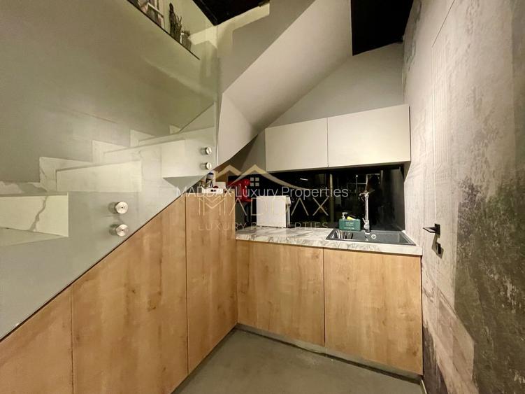 Duplex 3 camere//Birou***Showroom***DOMENII//PARTER+ Demisol - 11