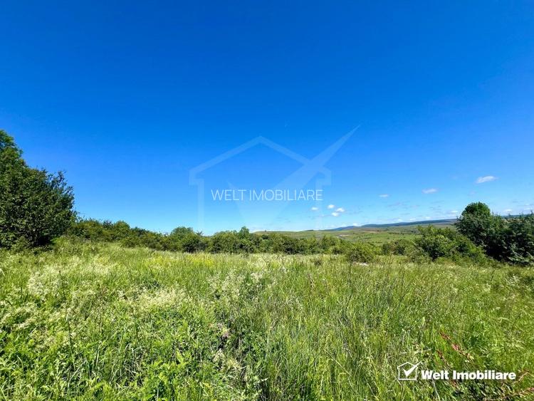 Oportunitate investitie, Chinteni, zona Macicas 31.600 MP - 7