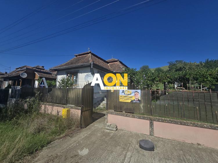 Comision 0%! Casa 3 camere Gura Ariesului, 1500mp Teren - 14