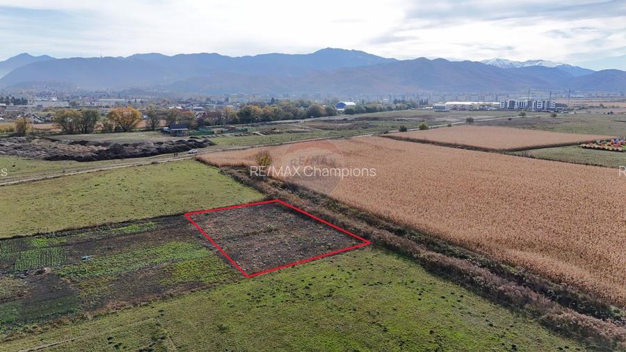 Teren intravilan | Zona Bartolomeu-Lânii | 921 mp - 6