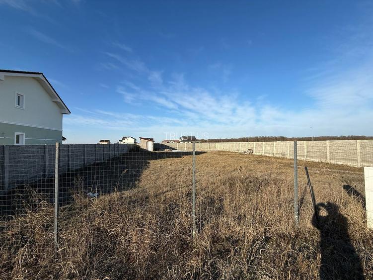 COMISION 0 | Teren intravilan | 745 mp | Mosnita Veche - 3