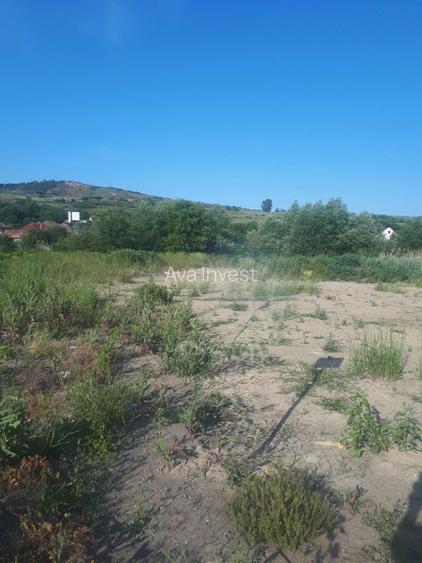 Teren strada Ion Creanga, comuna Chinteni - 2