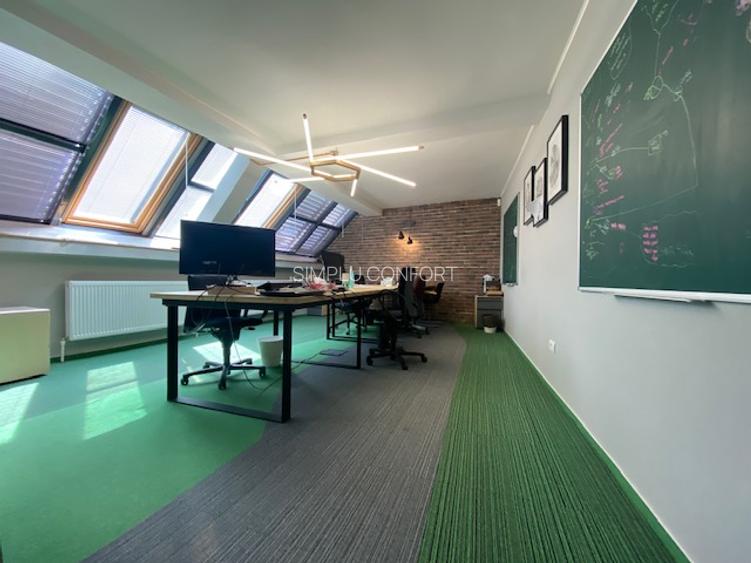 Cismigiu-Mircea Vulcanescu - 7