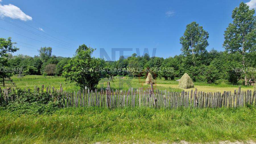 Teren de vanzare in judetul Arges, localitatea Arefu  - 3