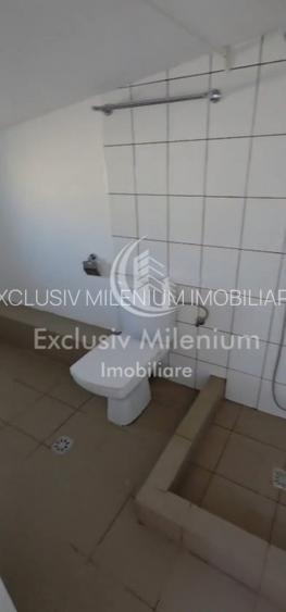 Casa /Vila Vatra Luminoasa  Birouri  MONZA - 9