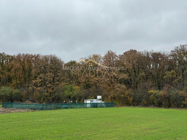 Maddax Luxury Properties vă propune spre vânzare un lot de teren în Balotești - 2