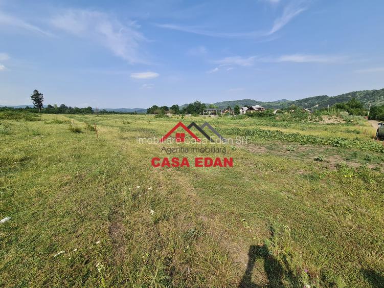 Teren intravilan in Campina, 7500mp--35e - 7