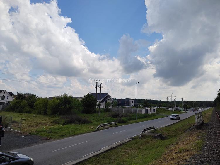 Teren de vanzare aproape de Muzeul Satului Banatean - Giarmata Vii - 3