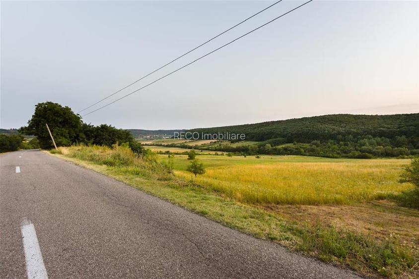 RECO Teren extravilan 11500 mp -Lazareni - 3