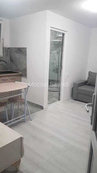 Ofer spre inchiriere garsoniera la casa  - 10