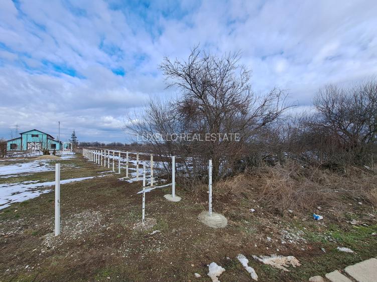 TEREN SNAGOV LANGA ARTIST THE BARN - 6